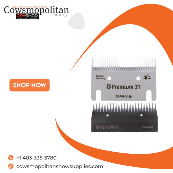 Premium 31/23 Blade set